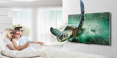 tv2-turtle